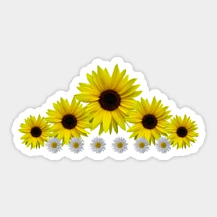 Sunflowers, daisies, flowers, floral, blossoms Sticker